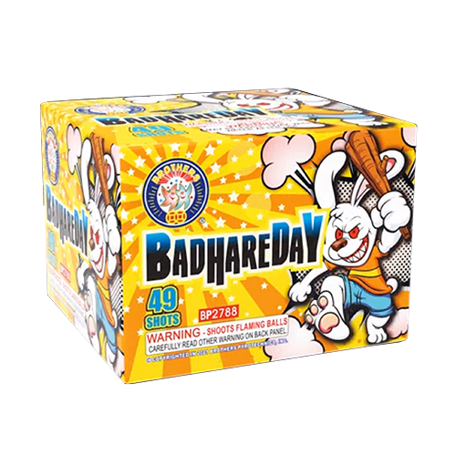 Badhareday 49-Shot Standard Aerial Cake | Case 12/1