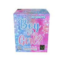 Boy or Girl? 20-Shot Daytime XL Aerial Cake
