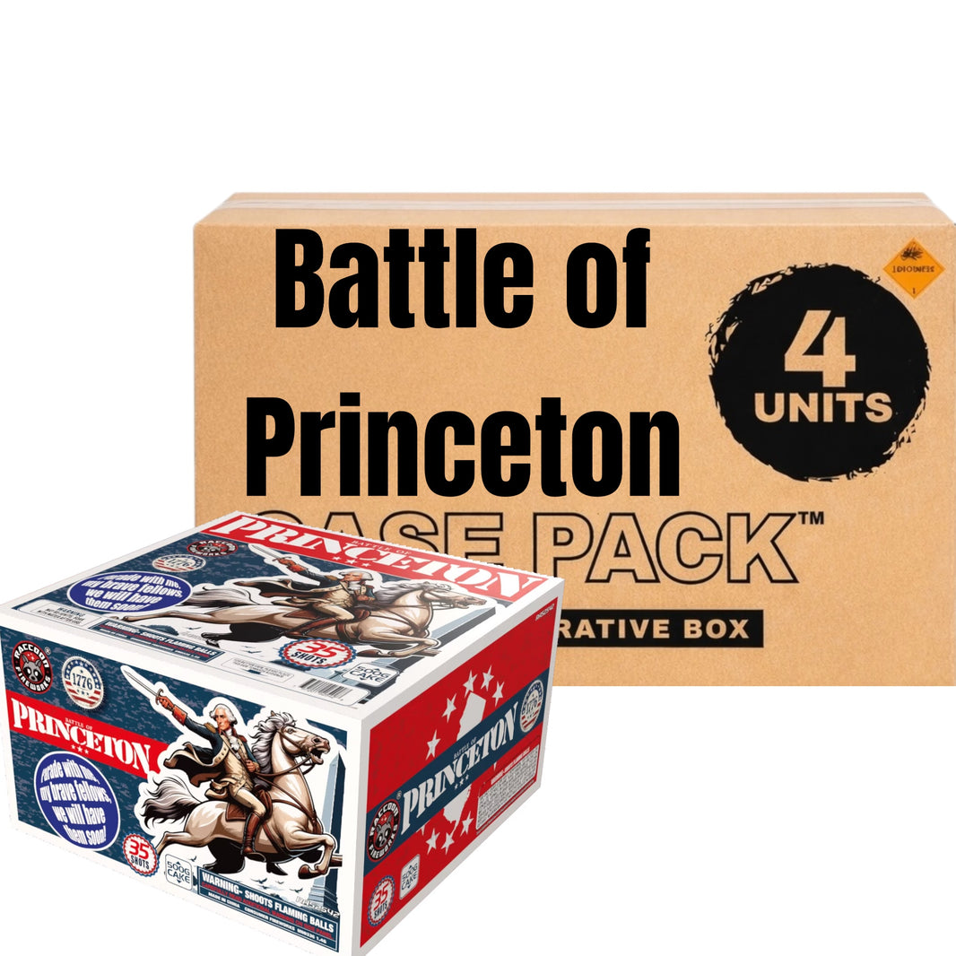 Battle of Princeton 36-Shot XL Aerial Cake | Case Pack™