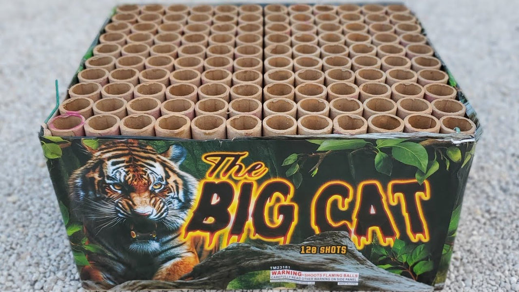 The Big Cat 120-Shot XXL Aerial Cake