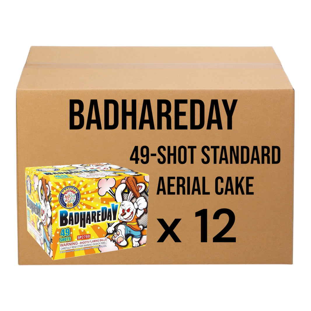 Badhareday 49-Shot Standard Aerial Cake | Case 12/1