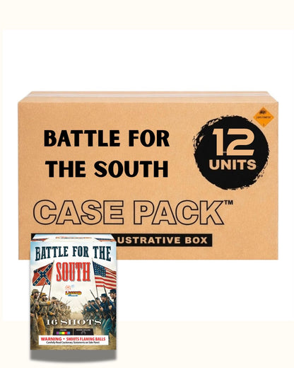 Battle For The South 16-Shot Standard Aerial Cake