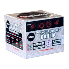 Red Dahlia (30sec) 12-Shot XL Aerial Cake