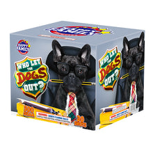 Who Let The Dogs Out 30-Shot XL Aerial Cake