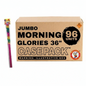 36" Jumbo Morning Glory (6-Pack) Sparkler | Case Pack™ 96/1
