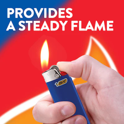 BIC 5-Pack Lighter