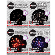 Special Effects Assortment (25 Sec) 16-Shot Standard Aerial Cake | 2/4 Case