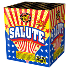Salute 12-Shot XL Aerial Cake
