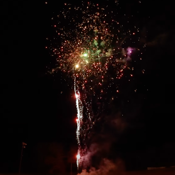 Red Tail to Red Lace w/ Neon Dahlia Star 49-Shot Pro-Line Cake