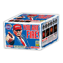 You Are Fired! 27-Shot XL Aerial Cake