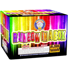 Rainbow In A Box 19-Shot XL Aerial Cake | Case Pack™ 4/1