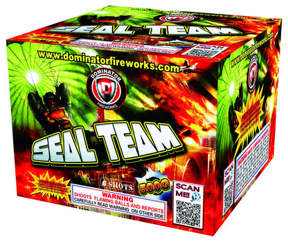 Seal Team 6-Shot Aerial Cake