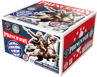 Battle of Princeton 36-Shot XL Aerial Cake