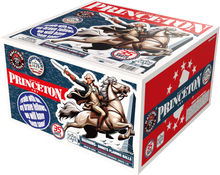 Battle of Princeton 36-Shot XL Aerial Cake