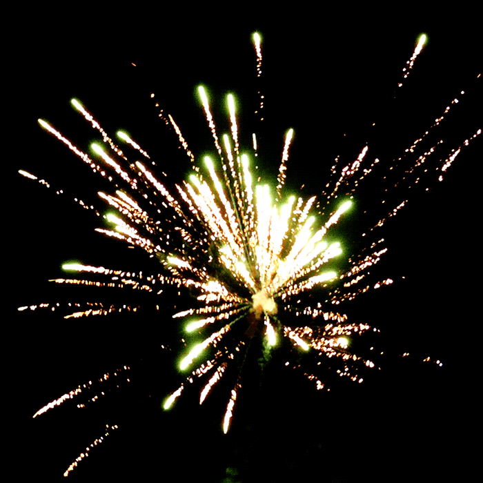 Flower Thunder 5-Shot XL Roman Candles
