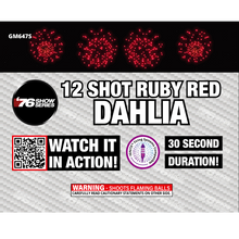 R/B/G/Y Dahlia Asst (30 sec) 12-Shot Standard Aerial Cake | 1/4 Case