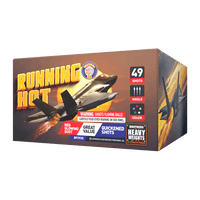 Running Hot 49-Shot XL Aerial Cake