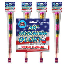 36 in. Morning Glory (6-Count)