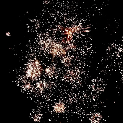 Buddha™ Box 725 Shot Fireworks Sampler®