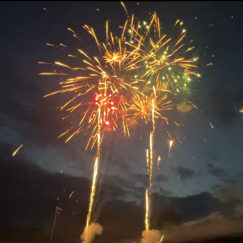 Gold Tail to Gold Rain Brocade w/ Multicolor Dahlia 49-Shot Pro-Line Cake