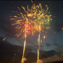 Gold Tail to Gold Rain Brocade w/ Multicolor Dahlia 49-Shot Pro-Line Cake