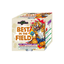 Best In The Field 16-Shot Standard Aerial Cake | Case Pack™ 12/1