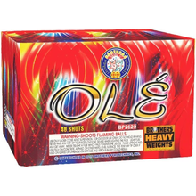 OLE 48-Shot XL Aerial Cake