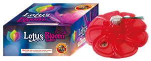 Lotus Bloom Ground Novelty