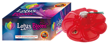 Lotus Bloom Ground Novelty
