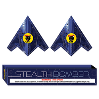 Stealth Bomber Flying Novelty (2-Pack)