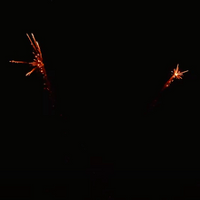 30mm Gold Glitter Crossette Comet (Clean Lift) iShot Single Shot Pro-Line