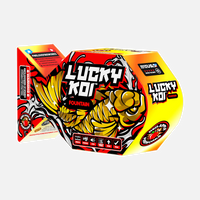 Lucky Koi™ Fountains