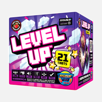 Level Up™ 21 disparos - Fuegos artificiales aéreos estándar