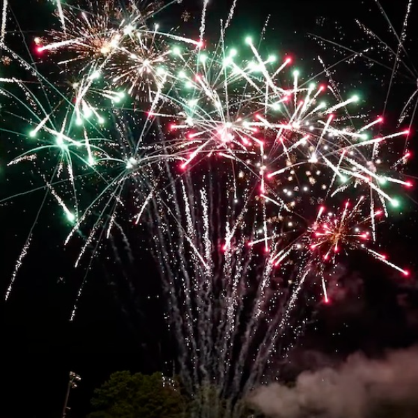 Fan Red/Green Palm Tail to Red/Green Palm 42-Shot Pro-Line Cake