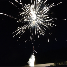 Gold Brocade Mine to Gold Brocade Crown 49-Shot Pro-Line Cake