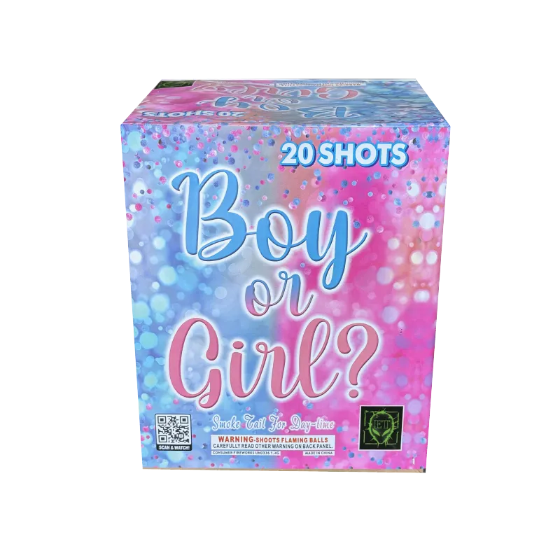 Boy or Girl? 20-Shot Daytime XL Aerial Cake