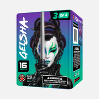 Geisha® 64 disparos Set de fuegos artificiales aéreos estándar®
