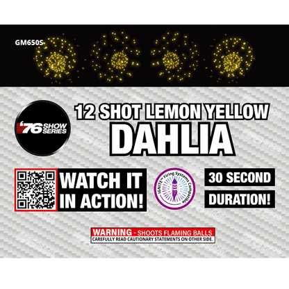 R/B/G/Y Dahlia Asst (30 sec) 12-Shot Standard Aerial Cake | 1/4 Case