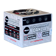 White Dahlia (30sec) 12-Shot XL Aerial Cake