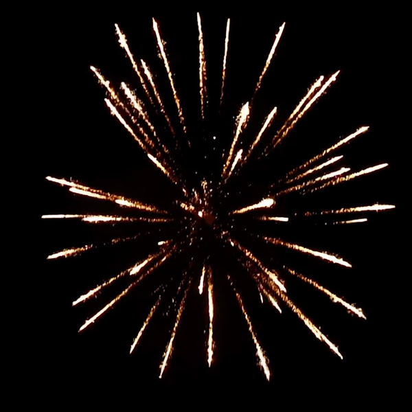 Cracking Palm w/ Crackling Tail (60mm) Single Shot Pro-Line