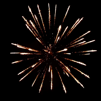 Cracking Palm w/ Crackling Tail (60mm) Single Shot Pro-Line