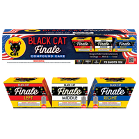 Black Cat Finale 72-Shot XL Aerial Cake Finale Kit™
