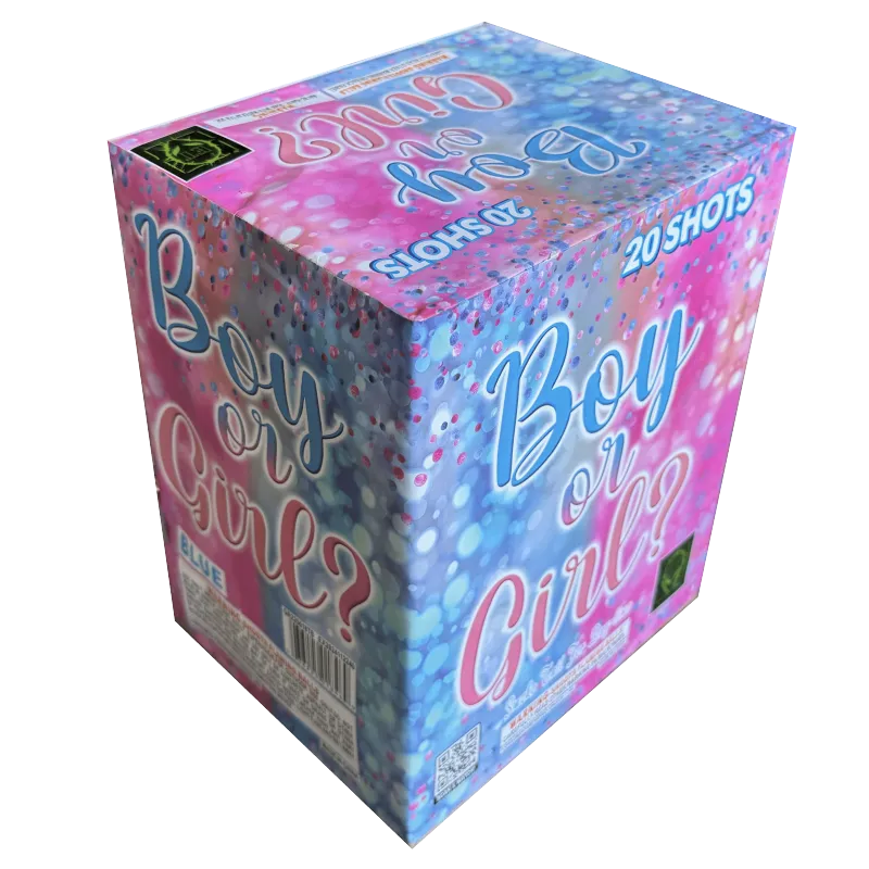 Boy or Girl? 20-Shot Daytime XL Aerial Cake