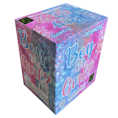 Boy or Girl? 20-Shot Daytime XL Aerial Cake