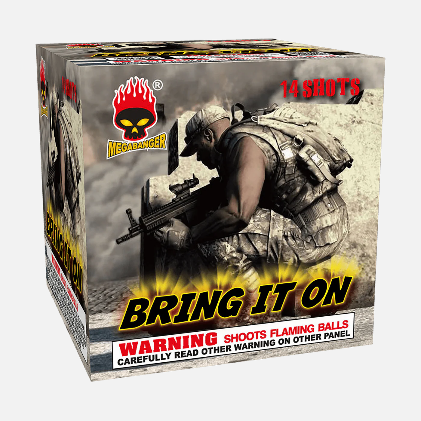 Bring It On 14-Shot XL Aerial Cake