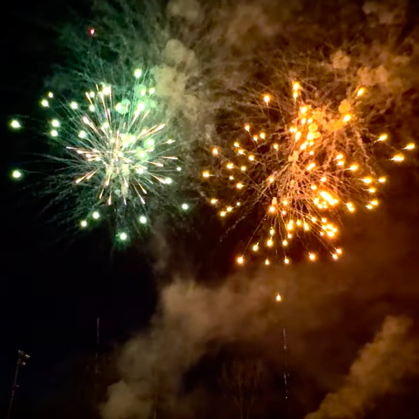 Multi Color Peony 49-Shot Pro-Line Cake