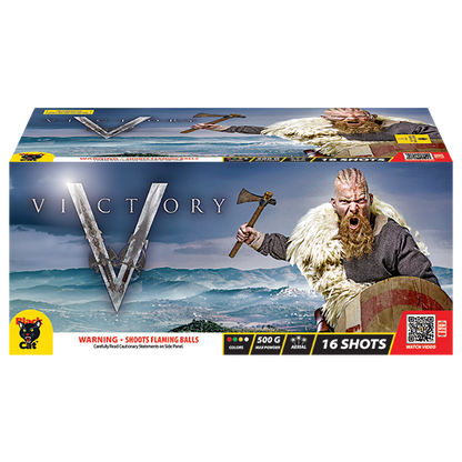 Victory! 16-Shot XL Aerial Cake