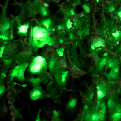 Glow Popz™ Chasquidos que brillan en la oscuridad