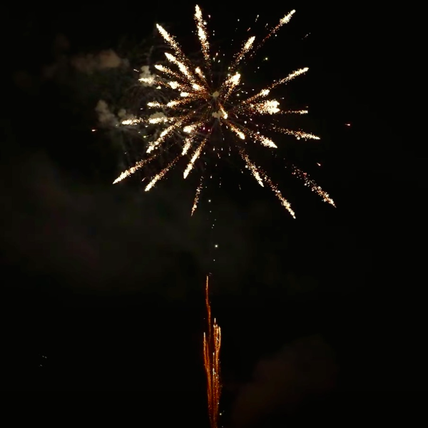 Green Tail to Sizzle Spider w/ G Strobe & P Pistil 49-Shot Pro-Line Cake