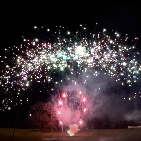 X Color Tail to White Strobe w/Color Dahlia 81-Shot Pro-Line Cake